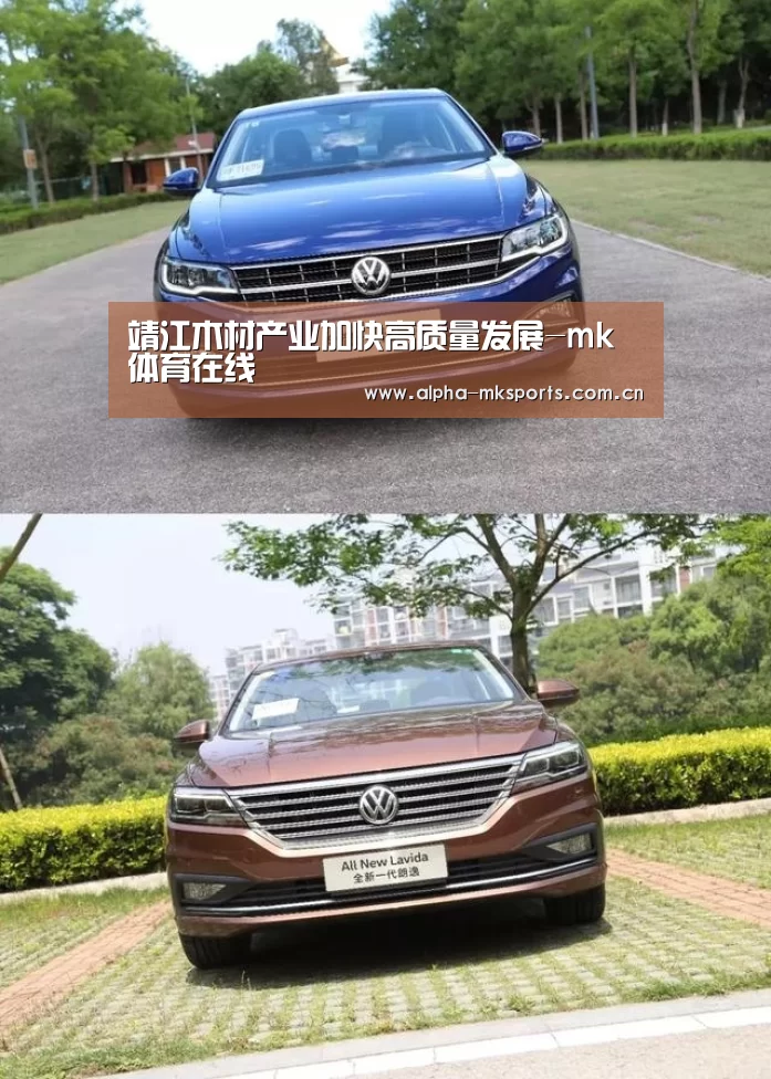 mk体育app